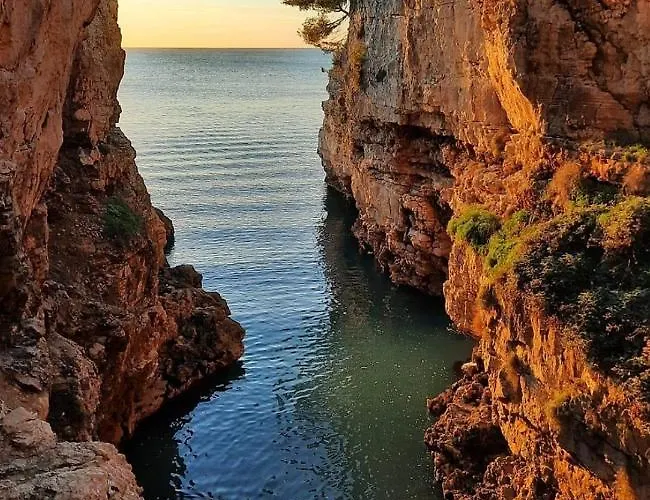 Tobys Place Lejlighed Pula