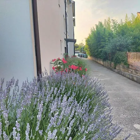 Tobys Place Appartamento Pola