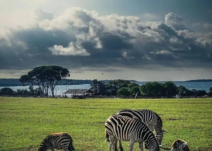 Appartamento Tobys Place Pola