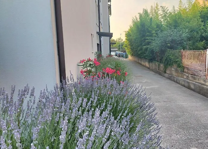 Tobys Place Apartman Pula